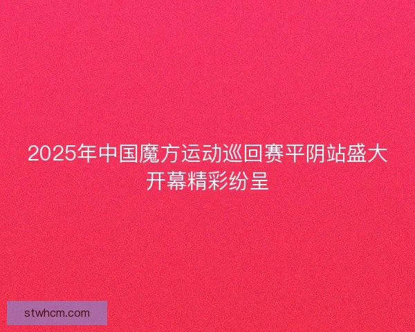 2025年中国魔方运动巡回赛平阴站盛大开幕精彩纷呈