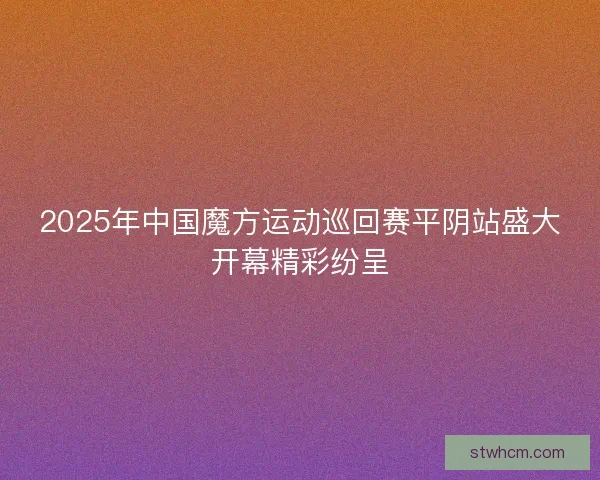 2025年中国魔方运动巡回赛平阴站盛大开幕精彩纷呈