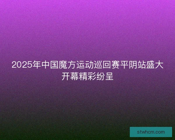 2025年中国魔方运动巡回赛平阴站盛大开幕精彩纷呈