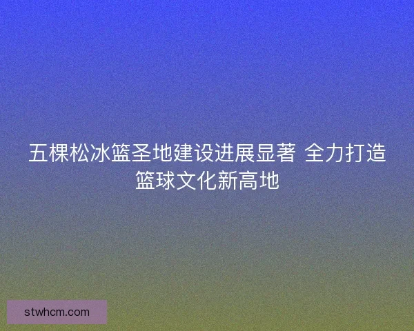 五棵松冰篮圣地建设进展显著 全力打造篮球文化新高地